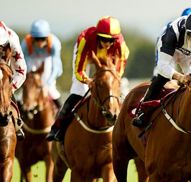 Nottingham Season Ticket