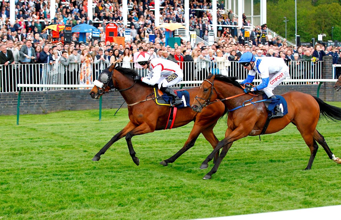 Sign up to our newsletter