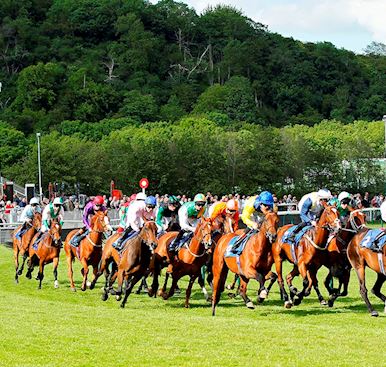 What's on at Nottingham Racecourse