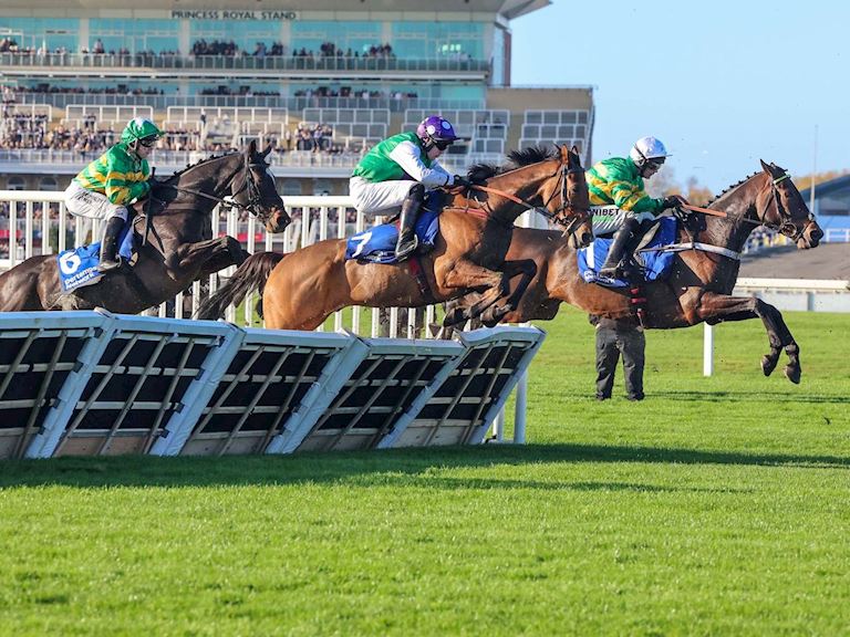 NZH201 IMPOSE TOI (1).jpg