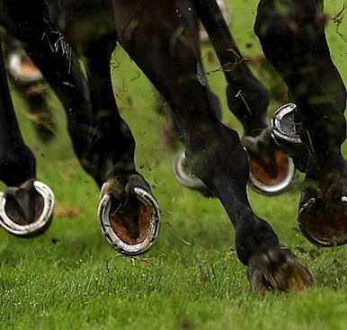JOCKEY BRODIE HAMPSON HOPES TO TURN HER YEAR AROUND ON VL AESTHETICS LADIES NIGHT AT CARLISLE TOMORR