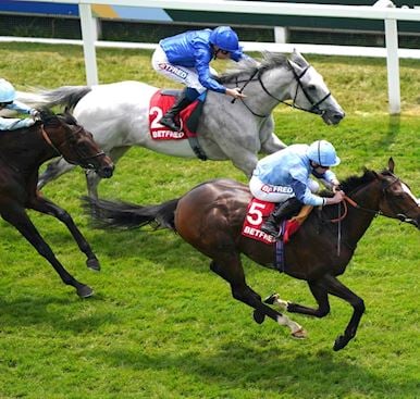 DONE FAMILY ENJOYS PERFECT START TO DERBY DAY AS REGAL REALITY TAKES BETFRED DIOMED STAKES 