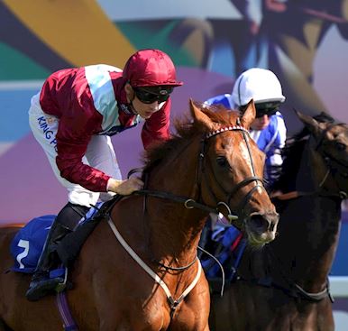 ROUND-UP OF FINAL TWO RACES ON DERBY DAY