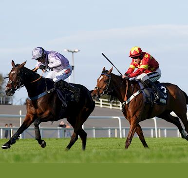 POTTER HOPING STABLE STAR JETOILE CAN BAG FURTHER GRADE TWO SUCCESS IN NEXT SUNDAY’S TRUSTATRADER PE