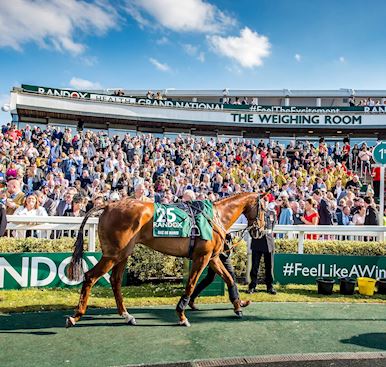 Horse Welfare - Racing and Facilities