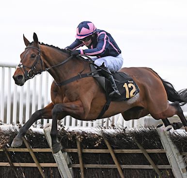 BEACHCOMBER BRINGS UP HALF CENTURY OF WINNERS FOR THE SEASON FOR O’NEILL WITH PERTEMPS SUCCESS