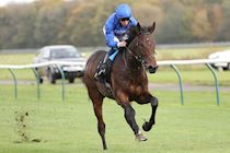 Race 1 - Adayar (8).JPG