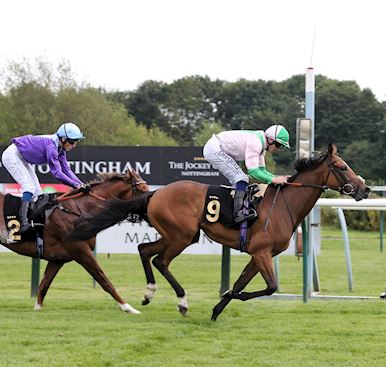 Nottingham Raceday Round-Up: Probert rides 100th winner of 2021