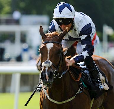 Ray Dawson on his life transformation, getting sober and why a car crash has given him the chance of