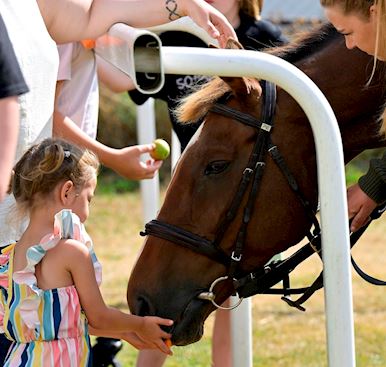 RETIRED EQUINE SUPERSTARS STEP BACK AND CONEYGREE WELCOMED AT LOWER GREEN COMMUNITY CENTRE