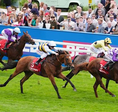 MORE SUCCESS FOR MOORE AS PERSICA BAGS BETFRED DIOMED STAKES