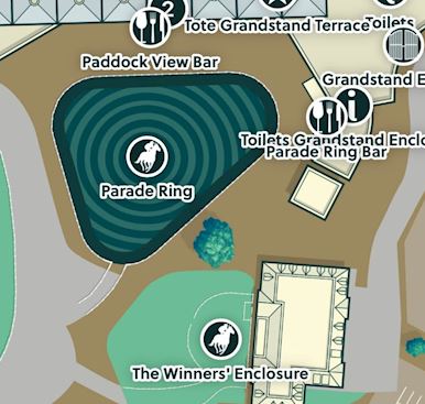 Sandown Park Racecourse App