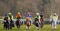 Shetland Pony Race 1.jpg
