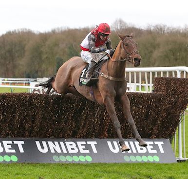 Smooth Stepper wins the Unibet Grand National Trial 
