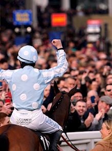 Sponsors and Partners