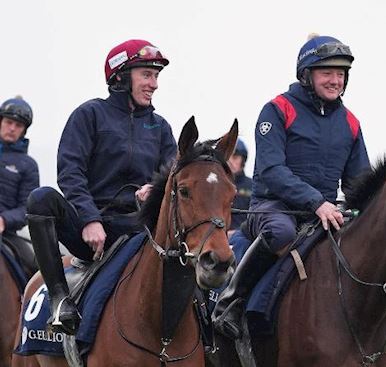 Stable & Racing Staff Information