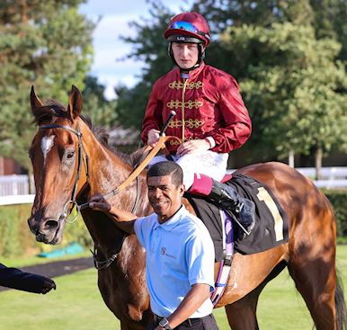 CARLISLE RACEDAY ROUND-UP: SWOON LOOKS ONE TO FOLLOW FOR STOUTE, WHILE MCMANOMAN STRIKES ONCE AGAIN