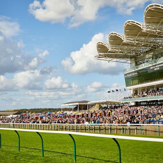 The Rowley Mile.jpg