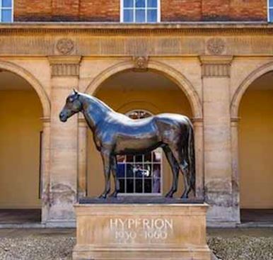 Things to do in the area 