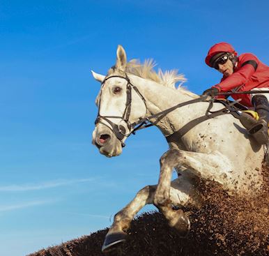 GREY DAWNING 11-8 FAVOURITE TO GO ONE BETTER AS 16 ENTRIES REVEALED FOR GRADE ONE BETFAIR CHASE