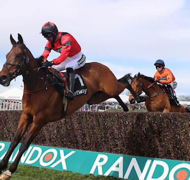 DUAL GRADE ONE WINNER AHOY SENOR SET FOR SEASONAL RETURN IN SUNDAY’S WILLIAM HILL OLD ROAN CHASE