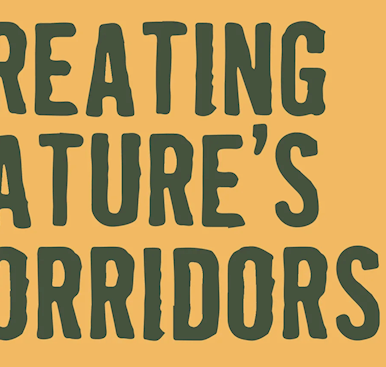 Huntingdon Racecourse's Charity of the Year