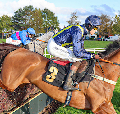 TIZZARD TEAM PONDER OPTIONS